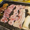 한돈세상 이미지