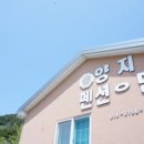 양지민박 이미지