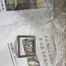 블루오토공업사 이미지