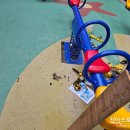 운광초등학교 이미지