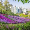 철쭉동산 이미지