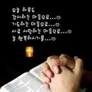 세우리 협동조합 이미지