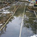 강아지 놀이터 이미지