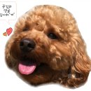 오제뉴어리 | 안양 이색카페 추천 오제뉴어리카페
