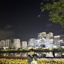 25. 4월 넷째 주