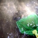 GR(부안군)-[격포로]-하-2 | 전북 부안 여행 격포해수욕장 해루질 아이랑 갯벌체험