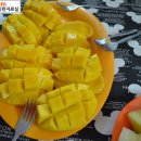 분식데이 이미지