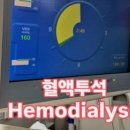 행복한 미래 이미지