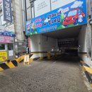 팜펫동물병원 네이버블로그