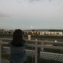 타임라인(주) | 캐나다 워홀 영주권 취득 후기 (밴쿠버 할리팩스)