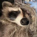 레전드짐 이미지