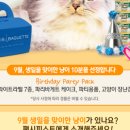 꼬맹이´S 이미지