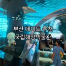 국립해양박물관 | 부산 아이와가볼만한곳 영도 국립해양박물관 방문후기