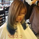 팔공컷트