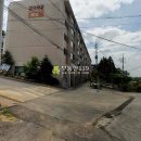 싸리말로 이미지