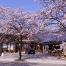 불정자연휴양림황토펜션 이미지