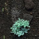 눈에띄다 이미지