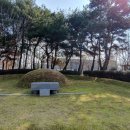 부안 매창 묘소를 둘러 보며 / 김중일 이미지