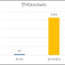 탄소 대신 보조금 먹는 전기차?… "차라리 자전거에 지원해라" 이미지