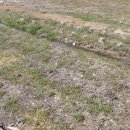 동량면사무소 이미지