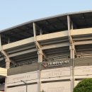 [일상] 수원 KT위즈파크 응원지정석 233, 236 구역...구역 시야 모음집, 주차, 먹거리 추천, 굿즈샵 후기