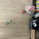 한마음결혼상담소 | week 19