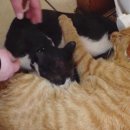 김윤영 농장 이미지