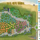 몽산포 송림 이미지