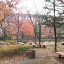 숲생태유치원 이미지