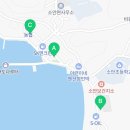 세븐일레븐 완도소안도점 이미지