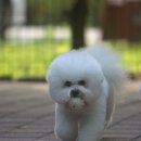 레이지 포 이미지