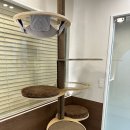 그루밍125 | 동래구 온천동 동물병원 고양이가 토하는 이유, 이것만은 절대 지나치지 마세요.