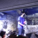 삼대빌딩 이미지