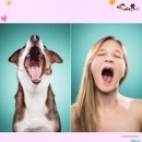 펫 사랑 이미지