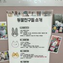 Judy | 제주소품샵 카페 티티플라이 JUDY점 방문 후기