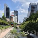 청계천 퐁당 퐁당 이미지