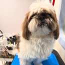 Mong's(몽'스) 이미지