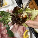 르노삼성자동차 서비스코너 파주금촌점 | 파주 회포장맛집, 대방어포장후기 금촌동횟집 회박사