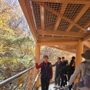 힐링(장태산) 이미지