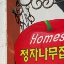 정자나무민박 이미지