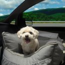 도그 PC | 반려동반 글램핑장 여행지 추천 필수 준비물 파일럿 캐리어 20인치 후기