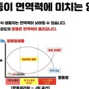 호연 합기도 이미지