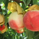 율어농장 이미지