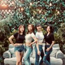 에이데일리 카카오 검색결과
