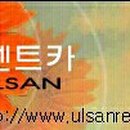 울산렌트카(주) 이미지