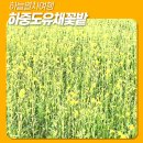 팔달대교 야경 이미지