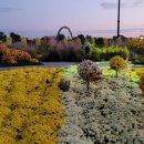 국향한우 이미지