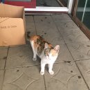 이동꽃마을 이미지