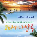 (주)투어부산여행사 Daum카페