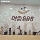 여명종합식품